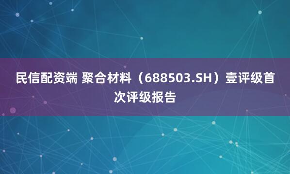 民信配资端 聚合材料（688503.SH）壹评级首次评级报告